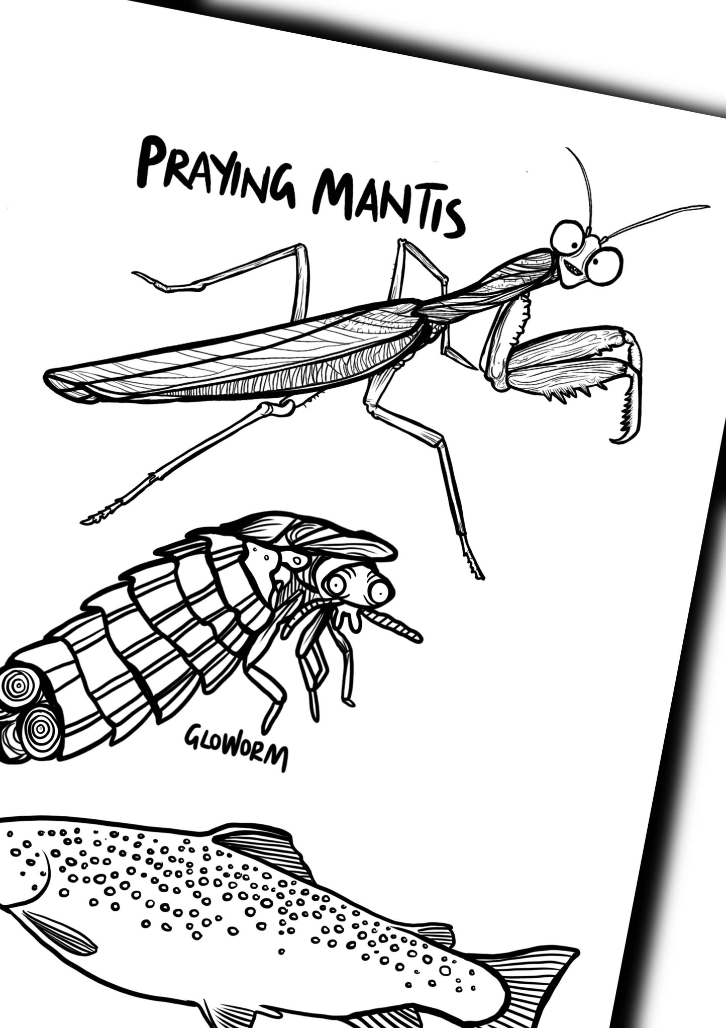 Black and white illustration of a praying mantis, glowworm, and fish on a white background.