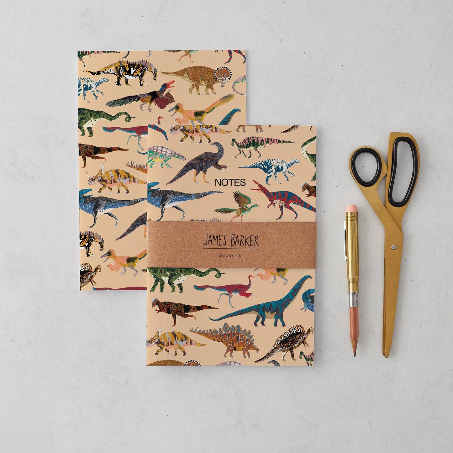 A5 dinosaur notebook featuring 18 hand-illustrated dinosaurs by James Barker on a matte finish cover; plain inside, recycled UK paper, kraft belly band.