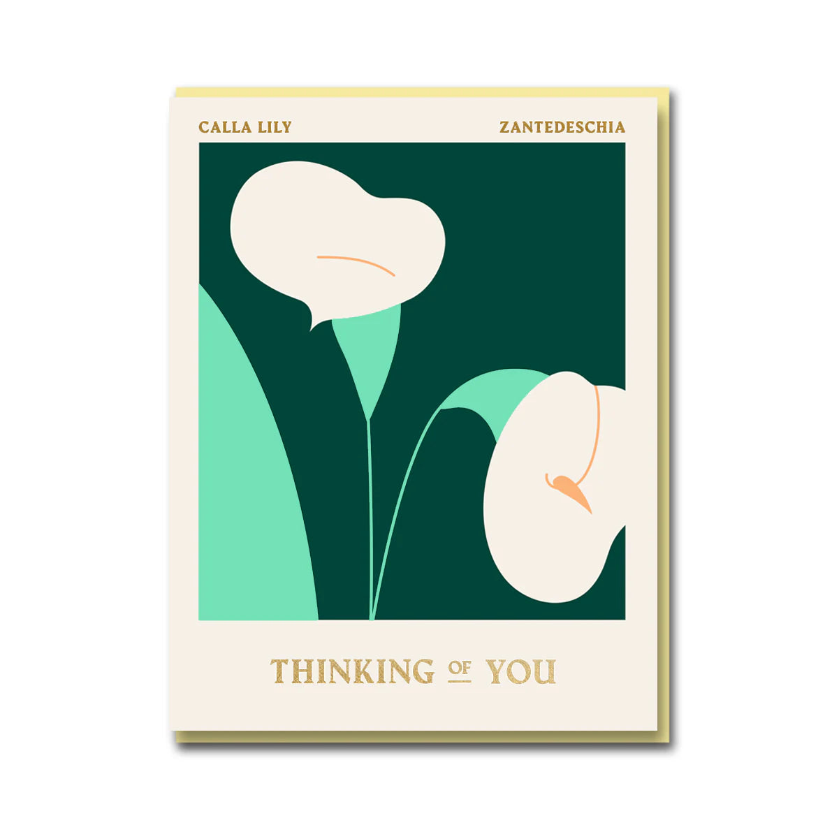 Calla Lily 'Thinking of You' Greeting Card by Darling Clementine with gold foil detail and cream envelope from Forget Me Not & Green