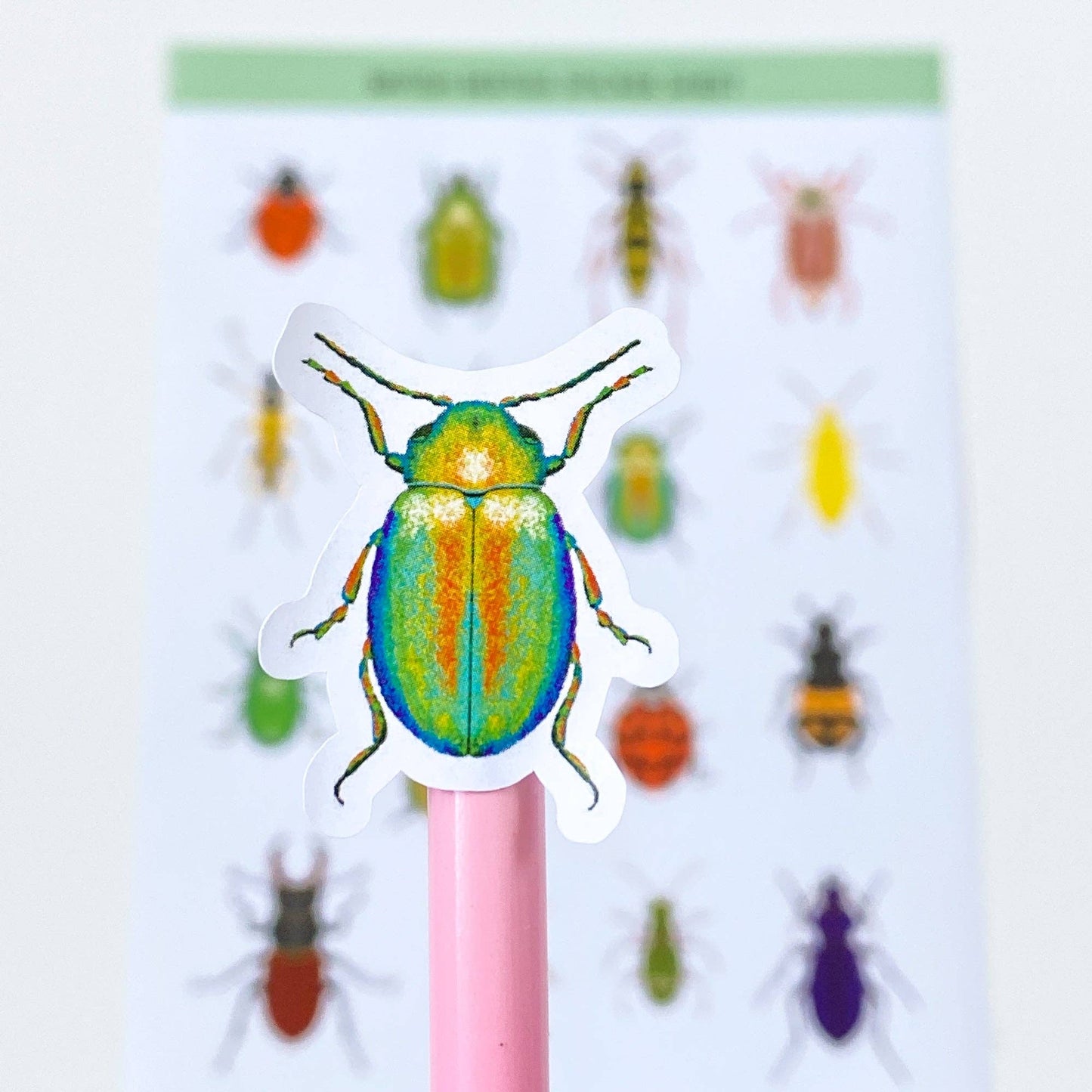 Close-up of British beetle paper stickers, showing detail of individual insect illustrations on a notebook.