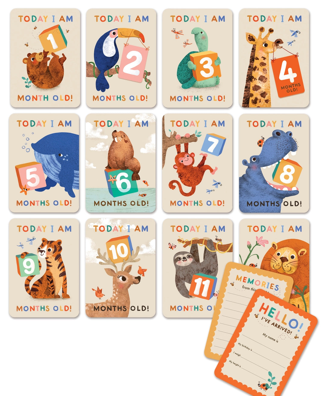 Emily Nash illustrated baby milestone cards packaging
