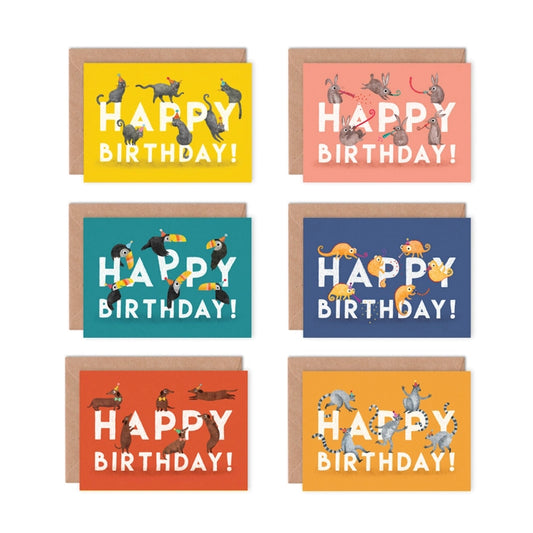 Happy Birthday Animal Multipack Greeting Cards by Emily Nash. Set of six eco-friendly cards featuring various playful animals in party hats, presented in a sustainable cardboard box with recycled envelopes.