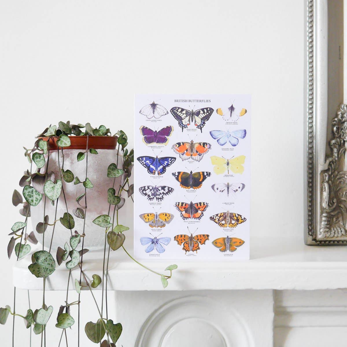 Close-up of the British Butterflies Greetings Card, showcasing the detailed gouache artwork and texture of the 350gsm recycled card stock.