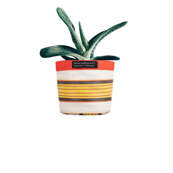 Woven Plant Pot Cover - Small - Tuscan Yellow, Pearl & Rose