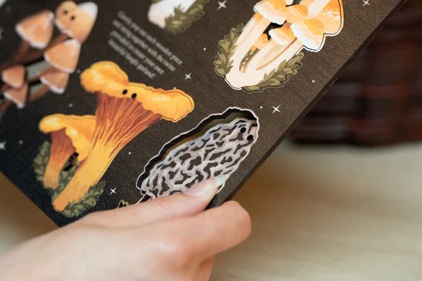 Hand designed Mushrooms of the British Isles garland, perfect for decorating your home or workspace. Perfect for nature lovers or toadstool enthusiasts. Made from sustainably sourced maple wood.
Made in Dapple & Dot's New Forest studio, from the illustration, to the laser cutting, to the printing to the packing.
EACH PRODUCT INCLUDES: 1 x pop out wooden sheet, 2 metres of cotton twine, 1 x labelled kraft envelope as packaging.