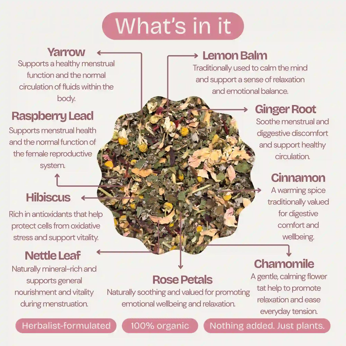 Freshly brewed cup of Her Time herbal tea for menstrual comfort