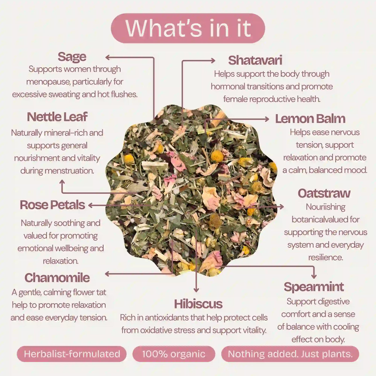 Freshly brewed Second Spring menopause herbal tea in a cup