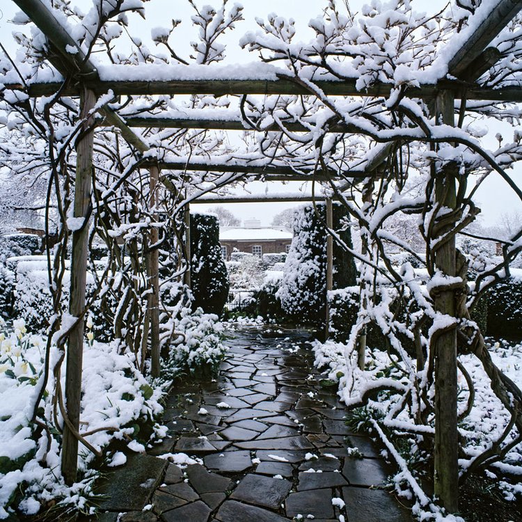 Brockwell Park Seasonal Greeting Card, sustainably sourced design