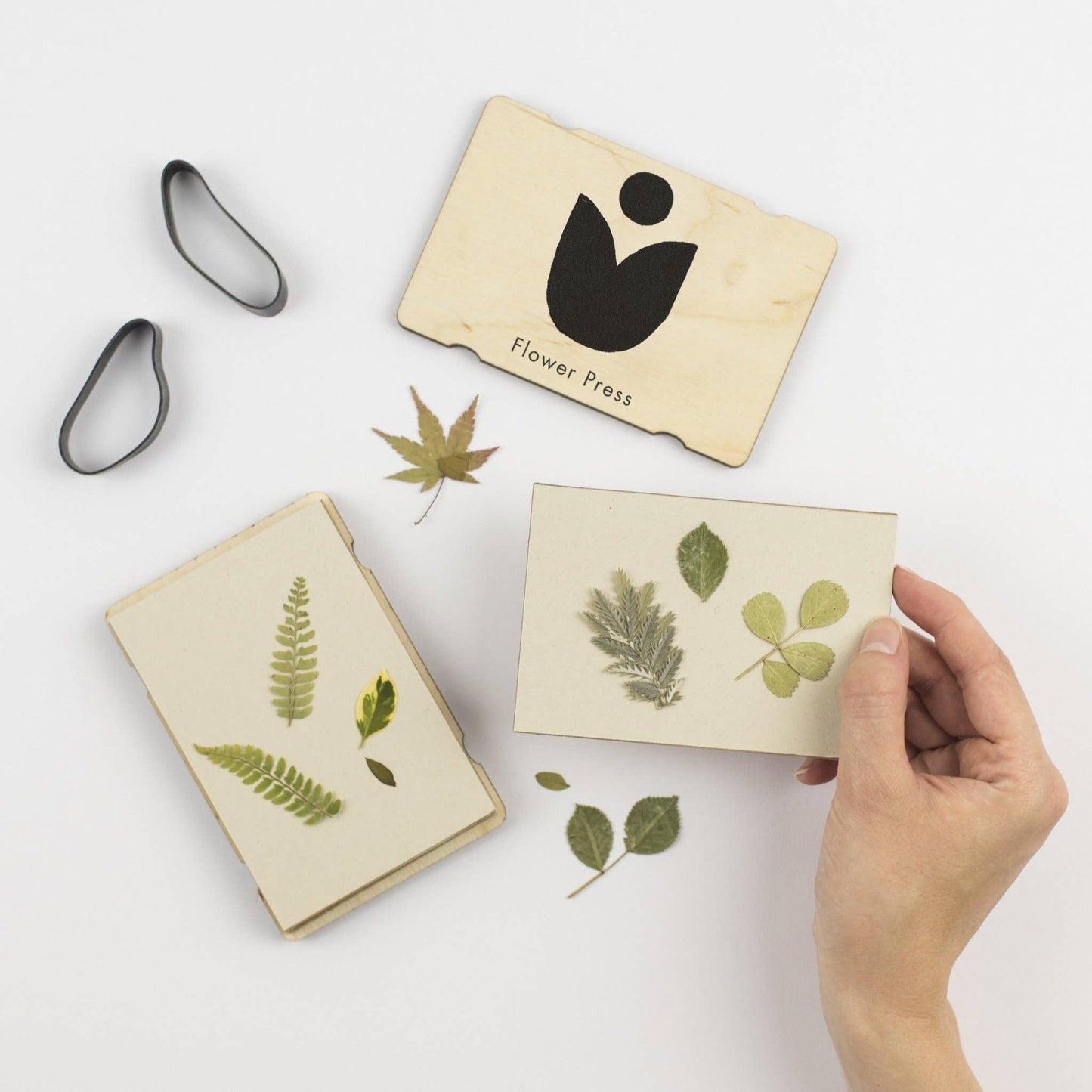 A selection of flower pressed plants on the Studio Wald flower press.