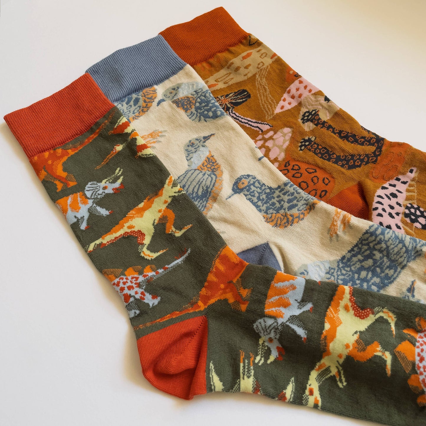 James Barker Mushroom socks in five colours, illustrated nature pattern, made from combed cotton.