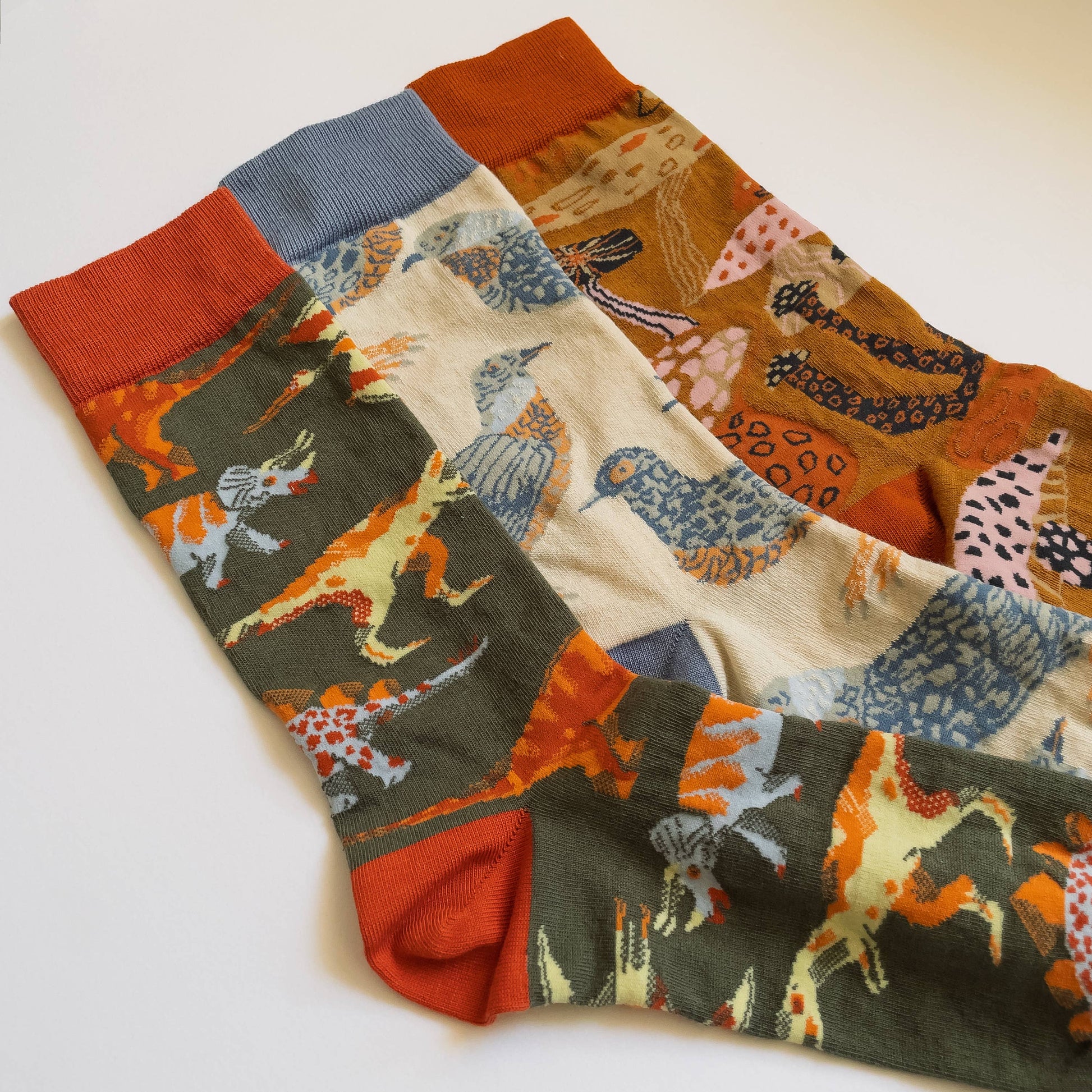 James Barker Mushroom socks in five colours, illustrated nature pattern, made from combed cotton.