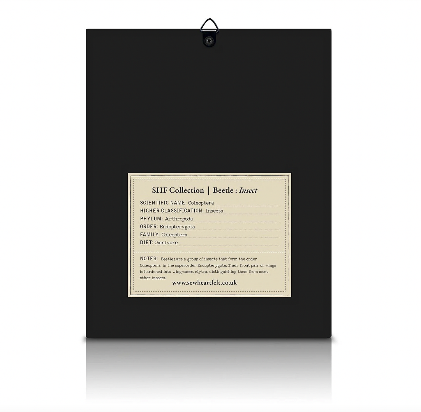 Close-up of framed hand embroidered scarab beetle, highlighting the padded body and rustic frame finish