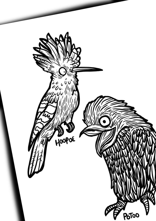 More Animals! A5 Colouring Book by Dixon Does Doodles. Features 80+ labelled animals, sustainably sourced and recyclable.