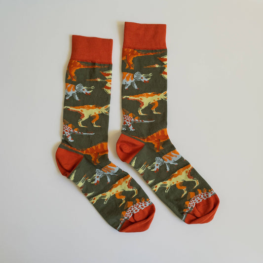 Colourful hand-illustrated dinosaur cotton socks by James Barker—fun, vibrant, and perfect for dinosaur lovers and collectors.