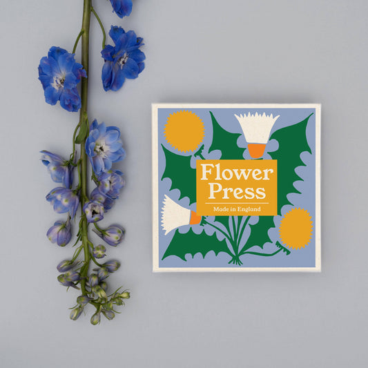 Studio Wald Dandelion flower press made with maple veneer board, 15x15cm, eco packaging.