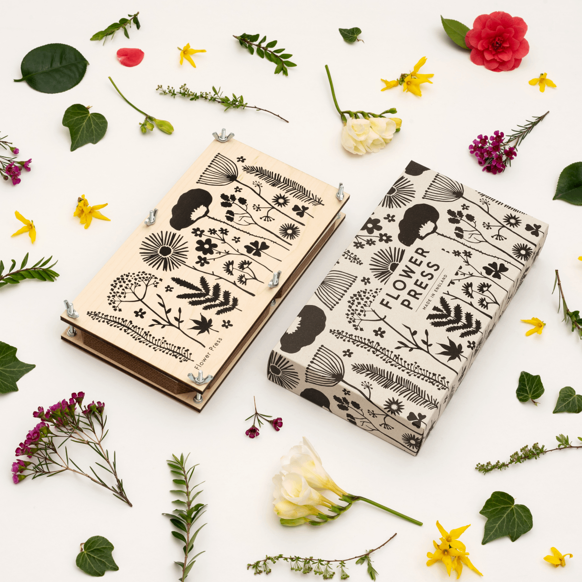 Studio Wald XL Flower Press with its matching box, surrounded by beautifully pressed flowers and leaves, showcasing its use.