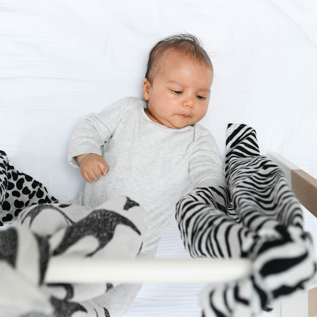 Set of three black and white sensory muslins by Etta Loves featuring zebra, starfish, and dalmatian patterns, made from GOTS-certified organic cotton, 60cm square each.