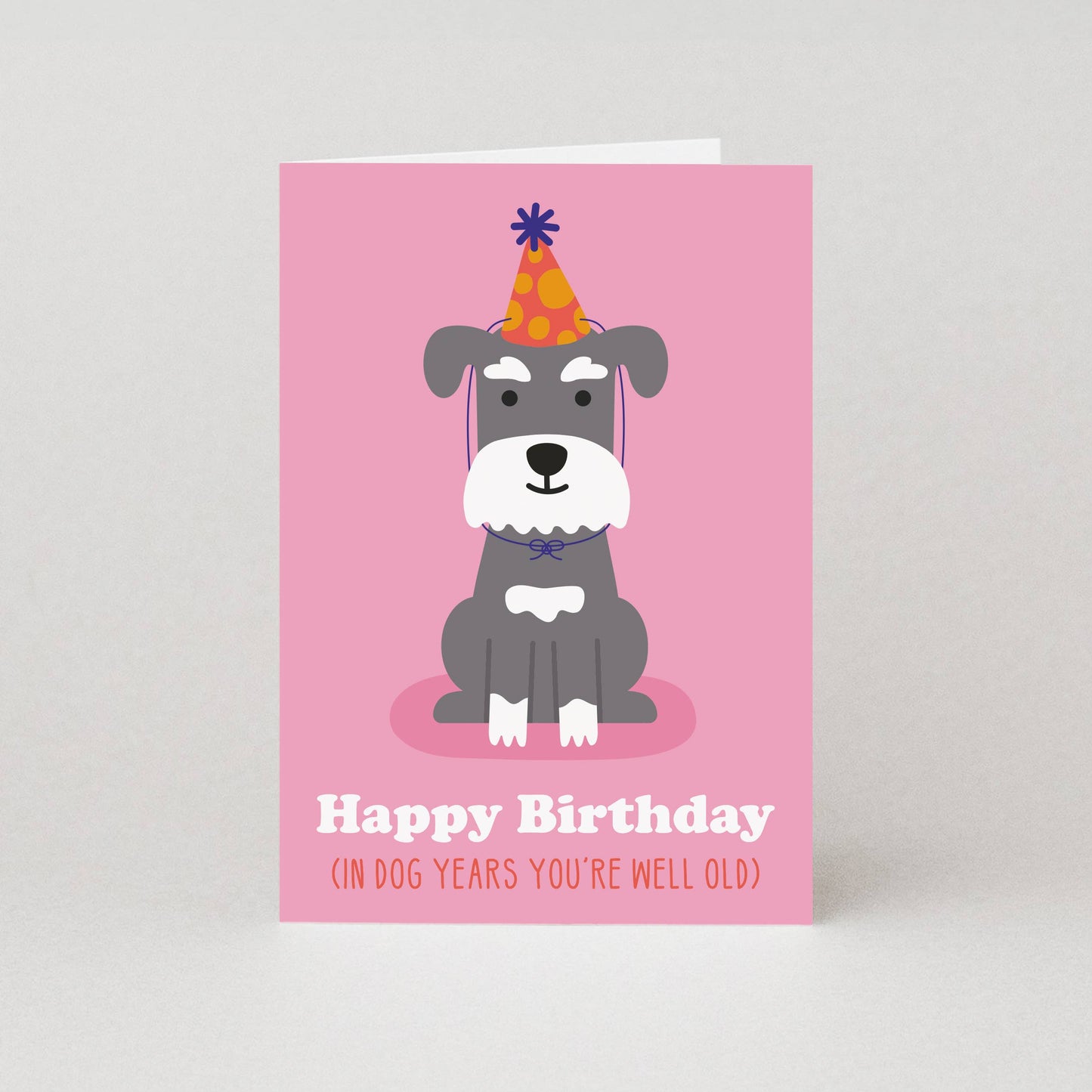 Funny 'Dog Years' birthday card featuring a cute dog in a party hat and "Happy Birthday, In dog years you're well old" text.