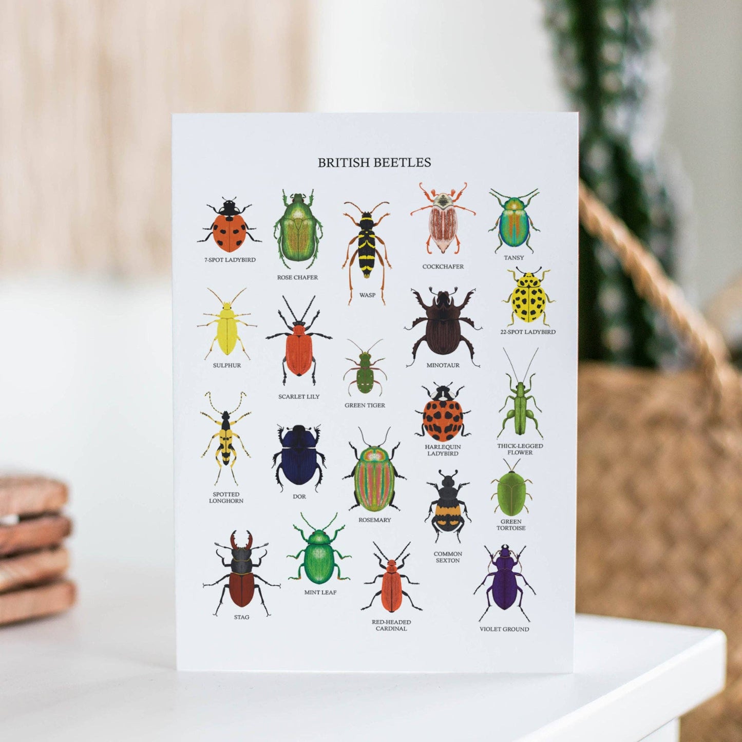 Recycled British Beetles greetings card with kraft recycled envelope, showcasing 350gsm card stock quality and blank interior.