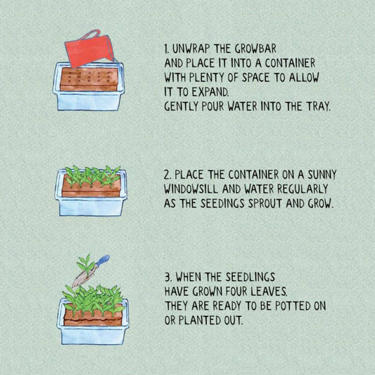 Close up of The Salad Growbar seed block