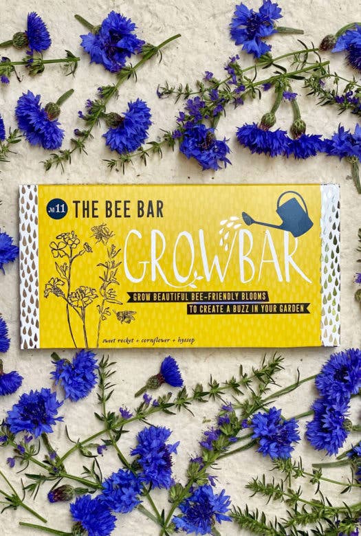 Eco-friendly Bee Growbar kit with Hyssop, Cornflower, and Sweet Rocket seeds