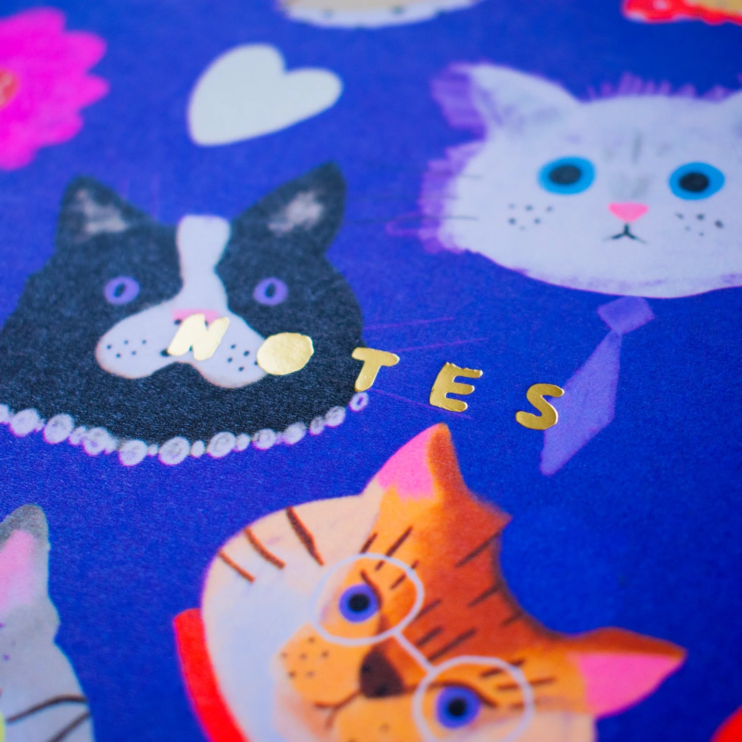 Close up detail of the stylish cat illustrations on the notebook cover