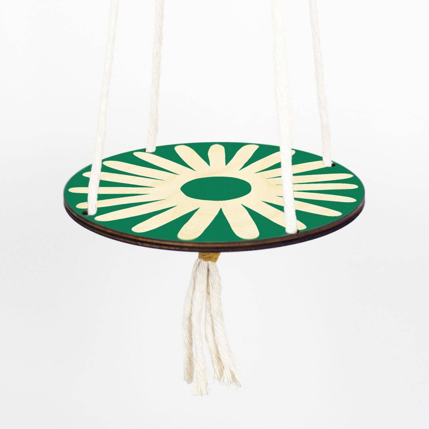 Eco-friendly packaging for daisy plant hanger