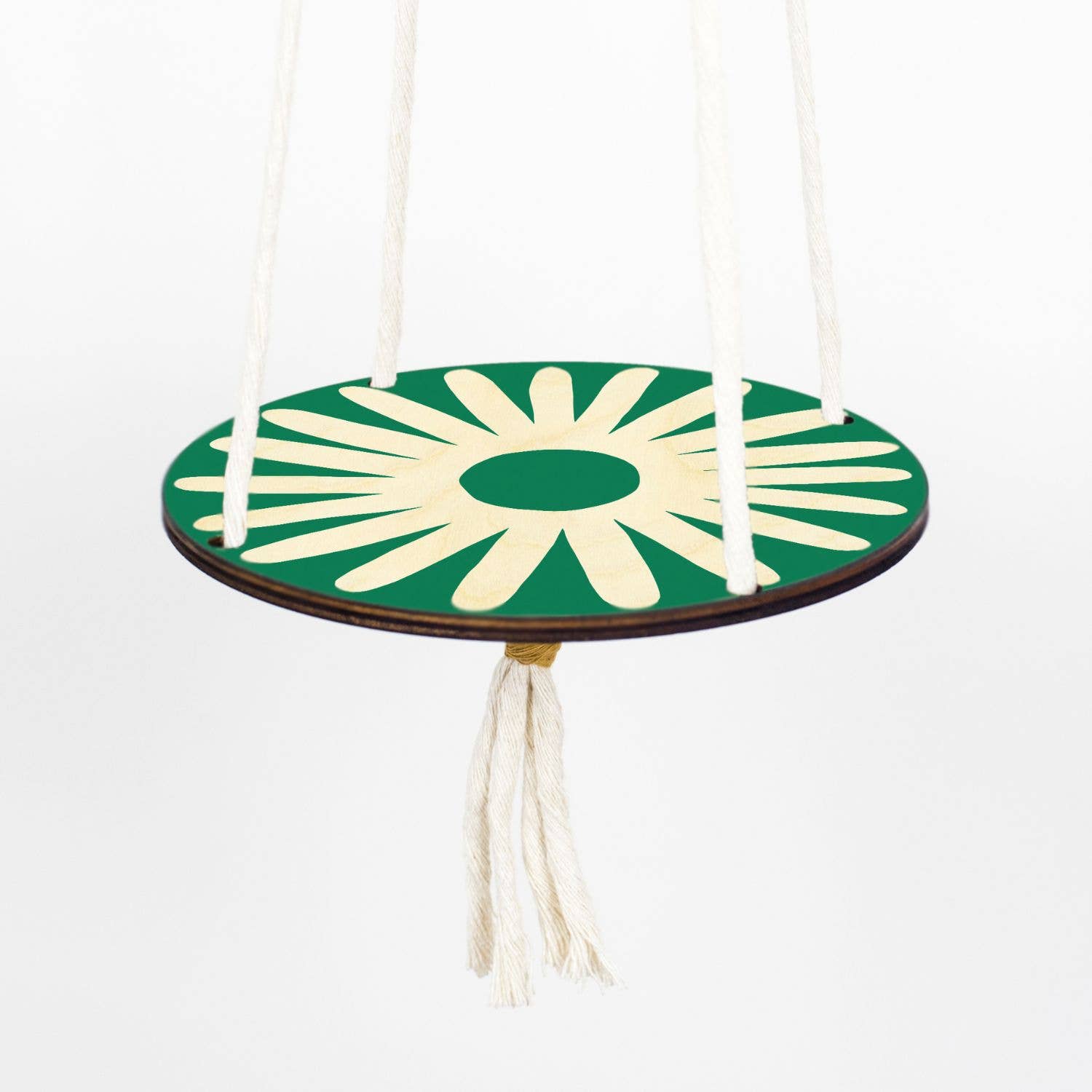 Eco-friendly packaging for daisy plant hanger