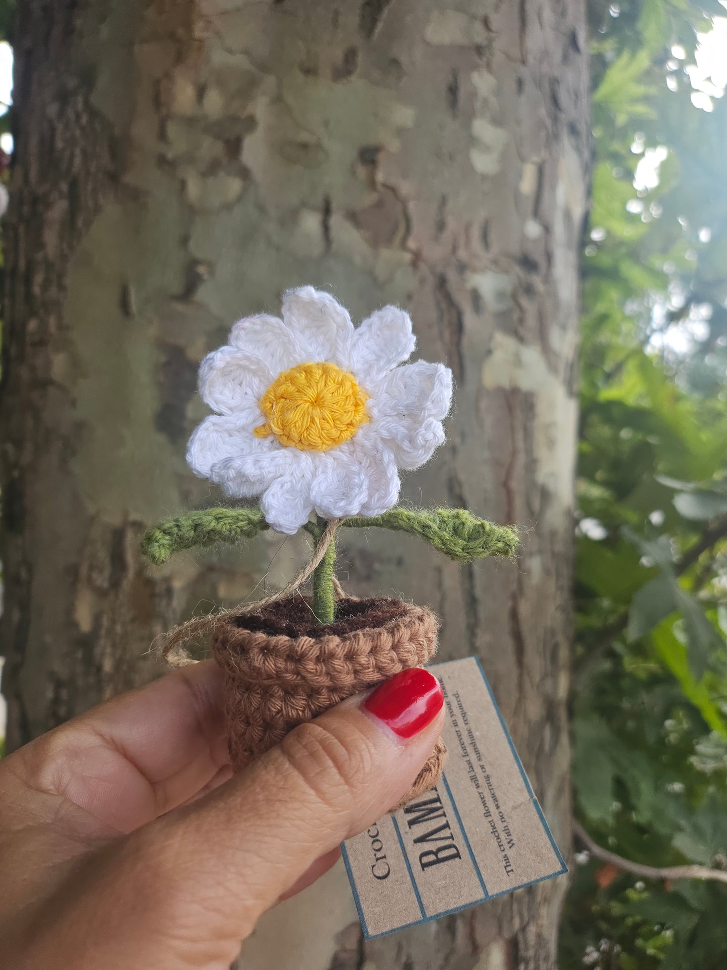 Small Potted Crochet Flowers – Handmade & Everlasting