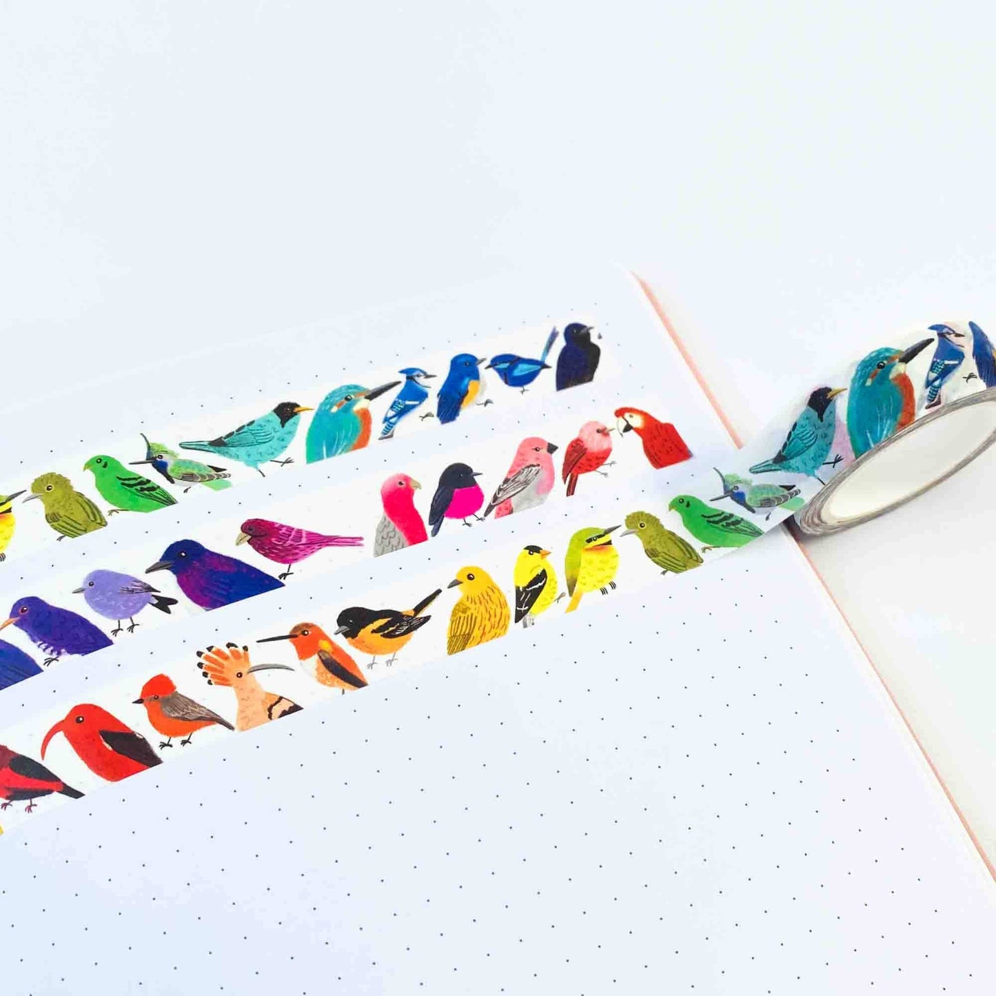 Sarah Frances Bird Rainbow Washi Tape, hand-illustrated birds, 15mm x 10m roll, eco-friendly craft and stationery tape.