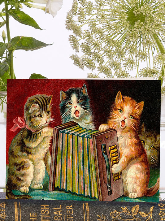 These three little kittens, look like they are having a ball singing their heart out while playing the accordion. Vintage mini greeting card, to make any cat lover smile.