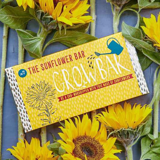 The Sunflower Growbar eco-friendly seed kit packaging