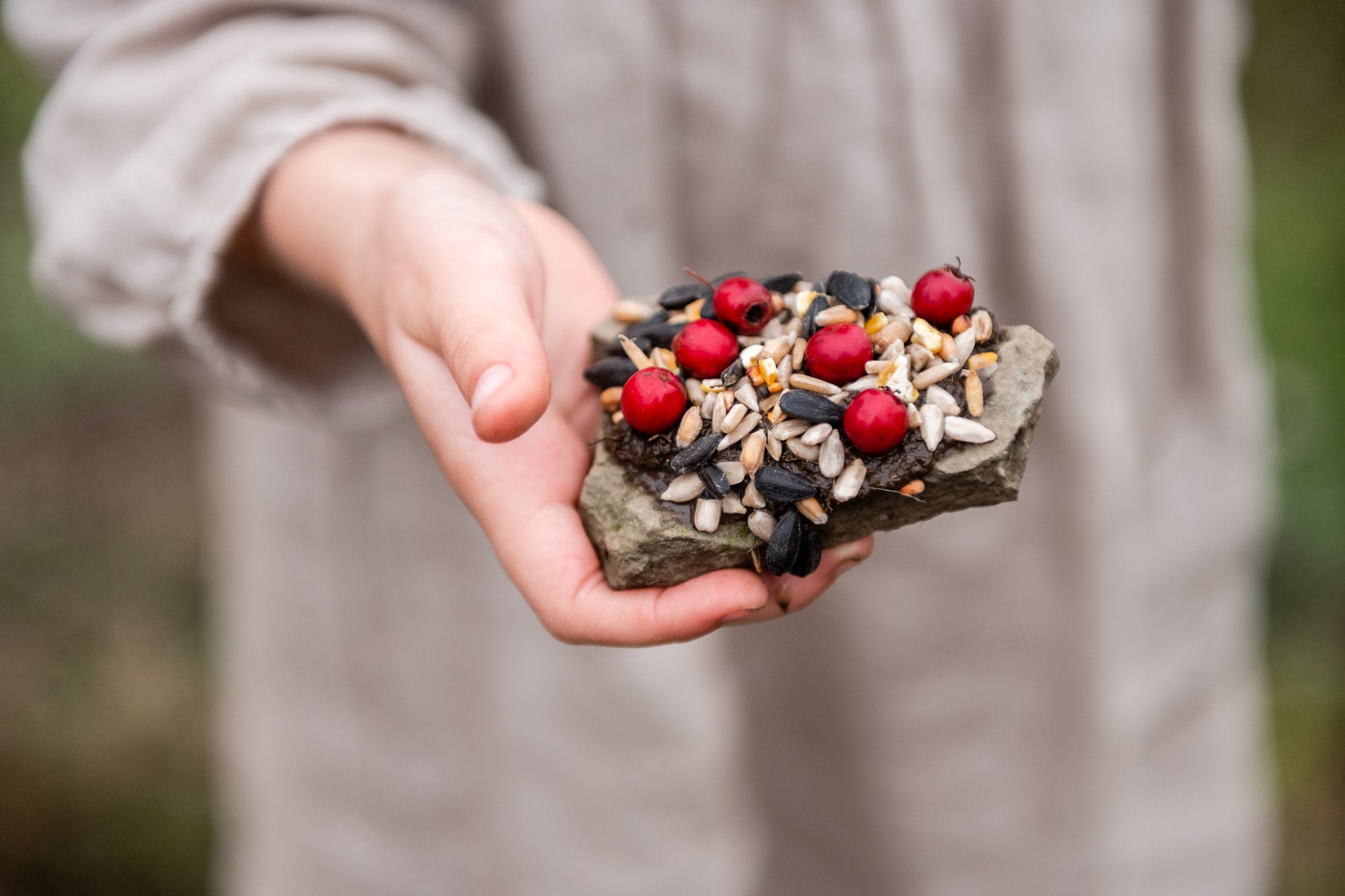 Child showing a seed pizza made for the birds