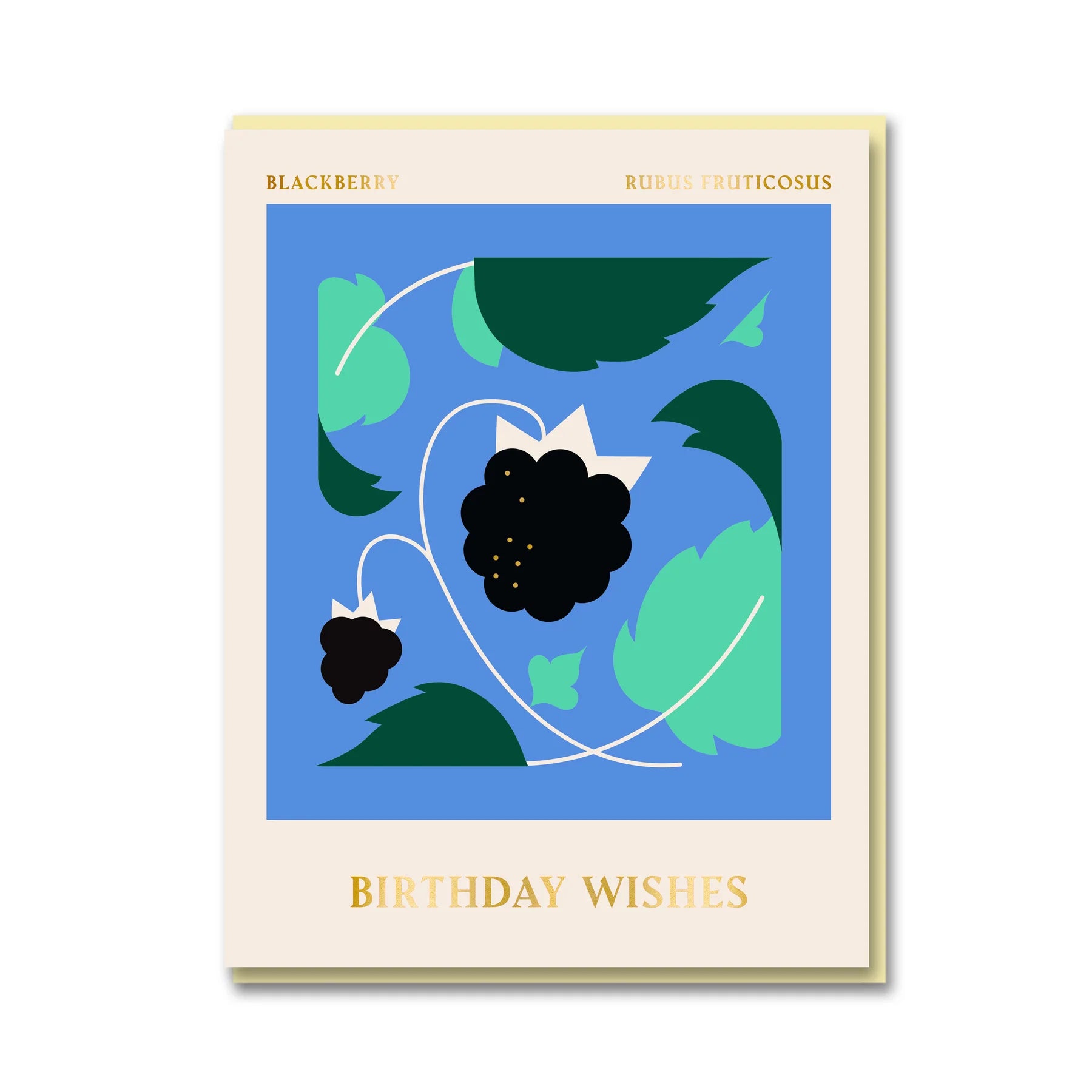 Darling Clementine Spitalfields Market Blackberry Birthday Wishes card, litho printed with Pantone inks and gold foiling, cream envelope, size 108mm x 140mm.