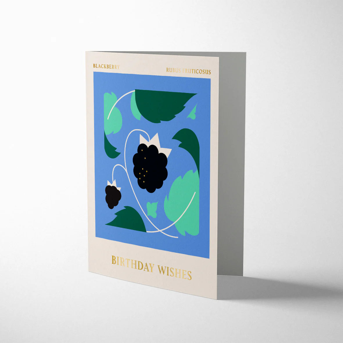 Darling Clementine Spitalfields Market Blackberry Birthday Wishes card, litho printed with Pantone inks and gold foiling, cream envelope, size 108mm x 140mm.
