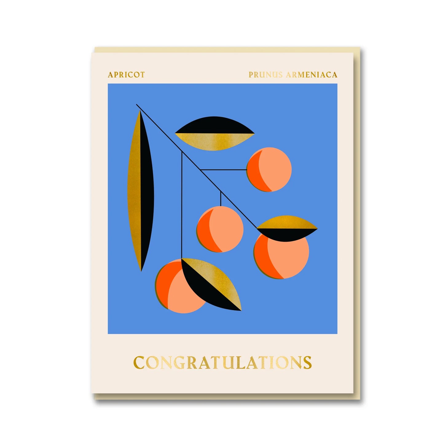 Darling Clementine Apricot Congratulations card, litho printed with Pantone inks and gold foiling, cream envelope, size 108mm x 140mm.
