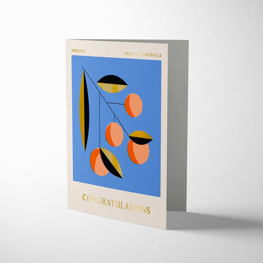Greeting card with abstract design and 'Congratulations' text on a white background. Darling Clementine Apricot Congratulations card, litho printed with Pantone inks and gold foiling, cream envelope, size 108mm x 140mm.