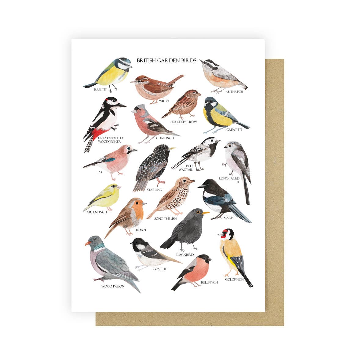 British Birds Greetings Card