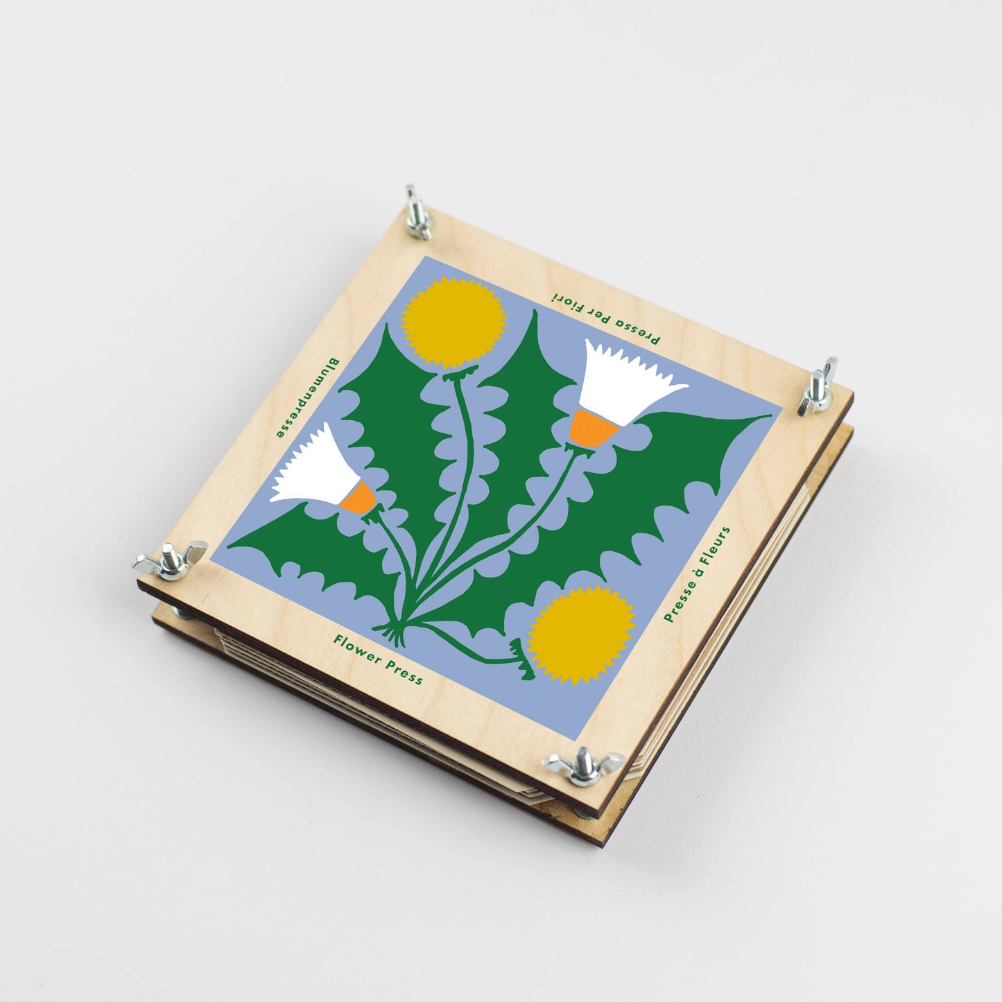 Studio Wald Dandelion flower press made with maple veneer board, 15x15cm, eco packaging.