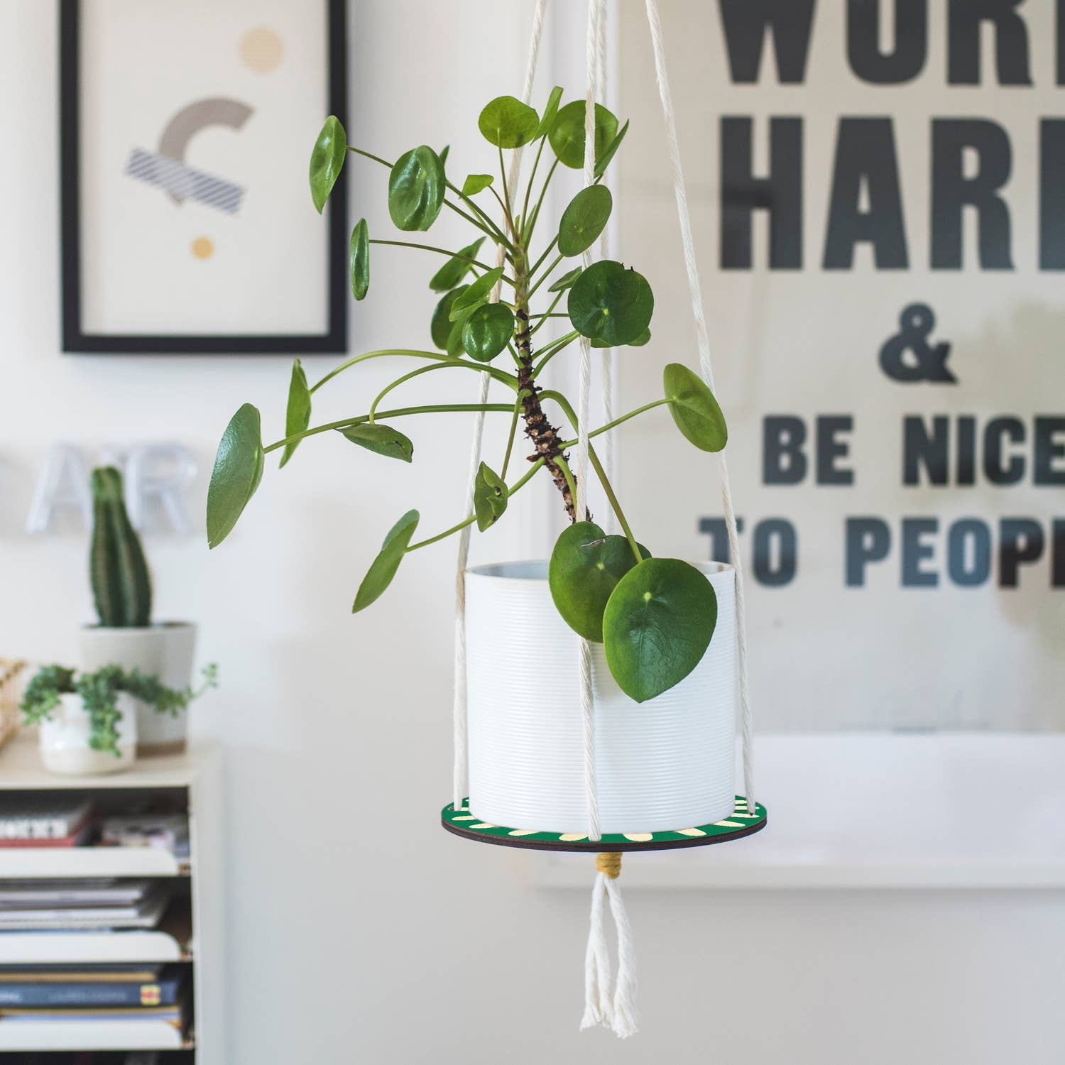 Full view of 1m hanging height daisy plant hanger