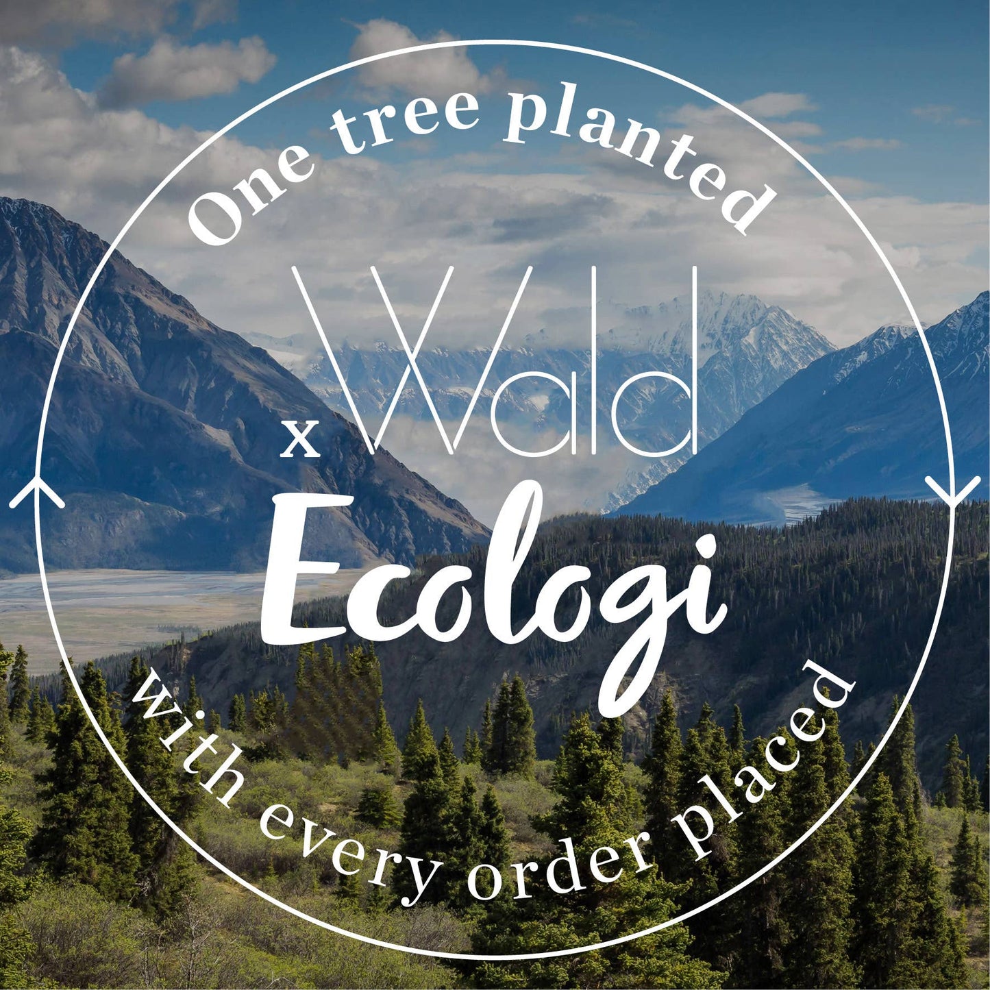 Studio Wald plant one tree for every order placed