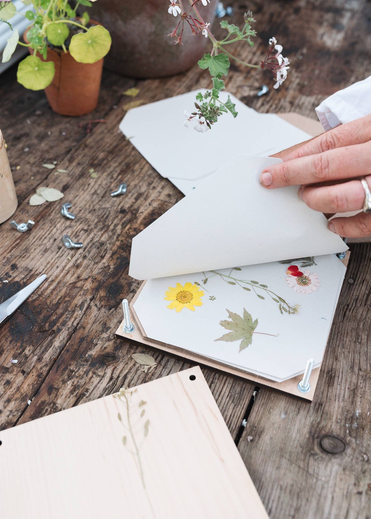 Sustainably sourced maple wood flower press with floral illustration