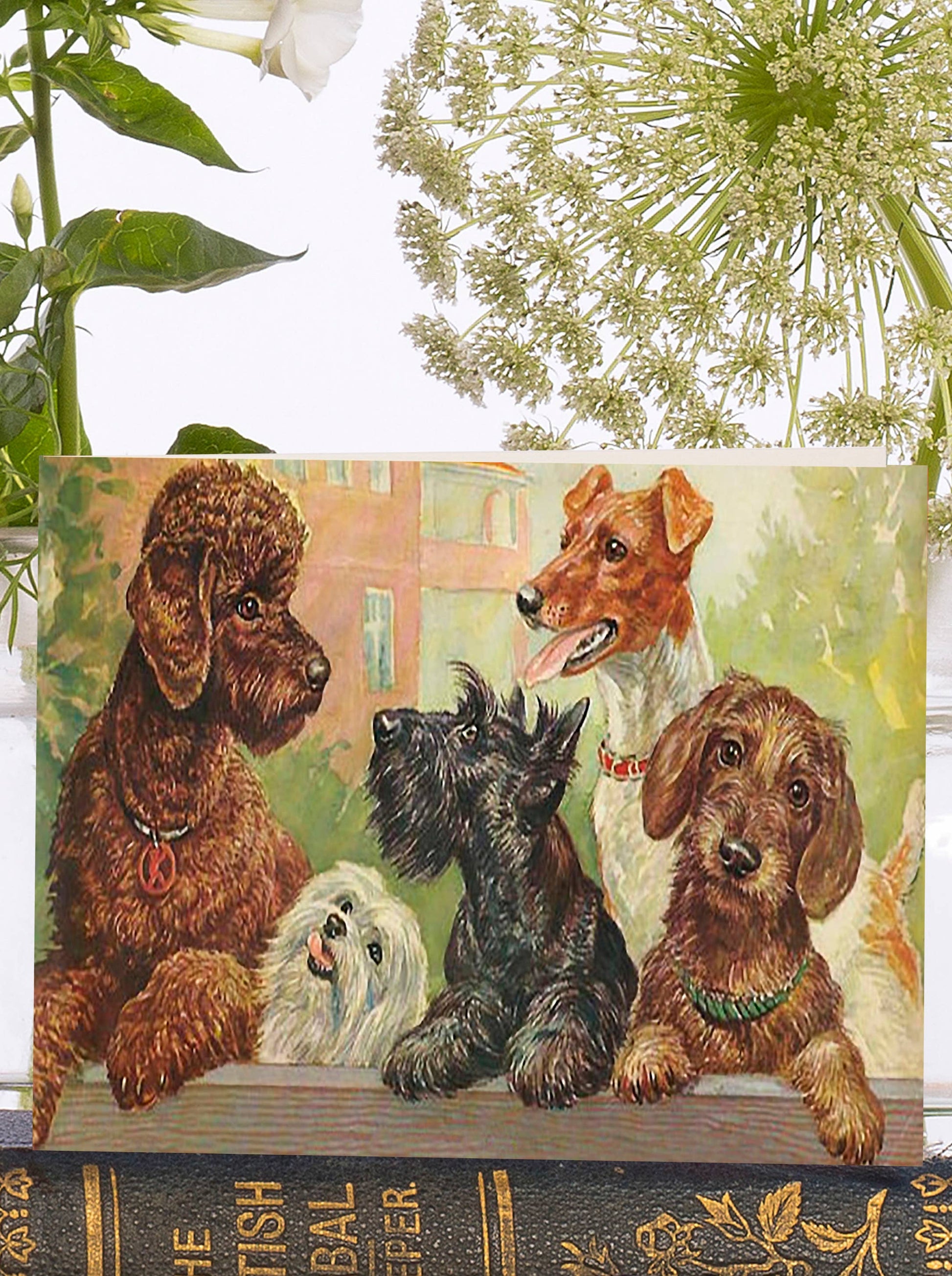 Little Vintage Greeting Card with Sustainably Sourced Ivory Envelope