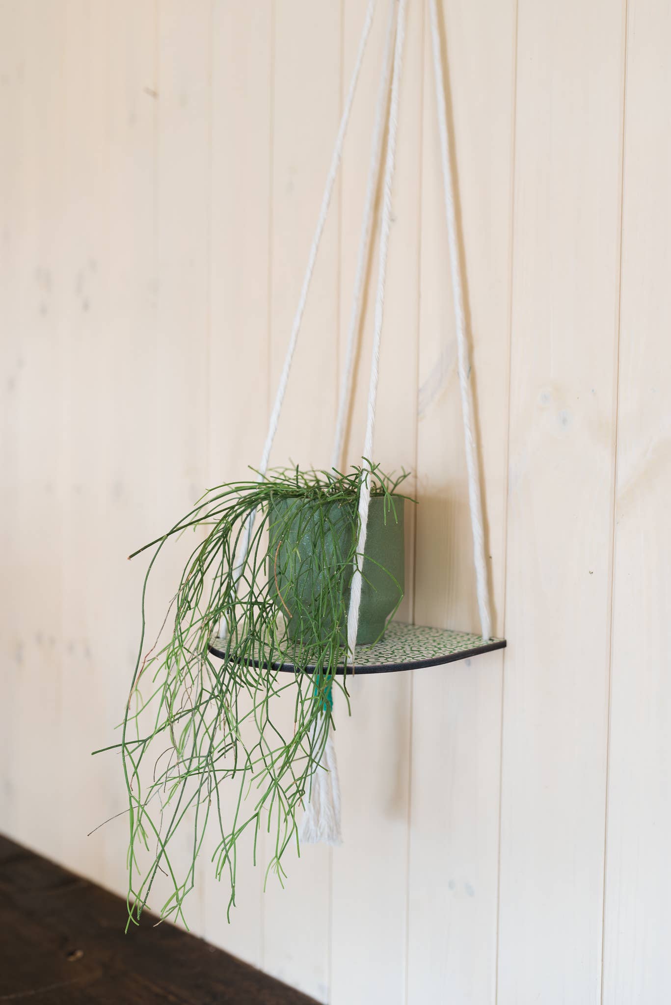 Eco-friendly greyboard envelope packaging for hanging plant shelf