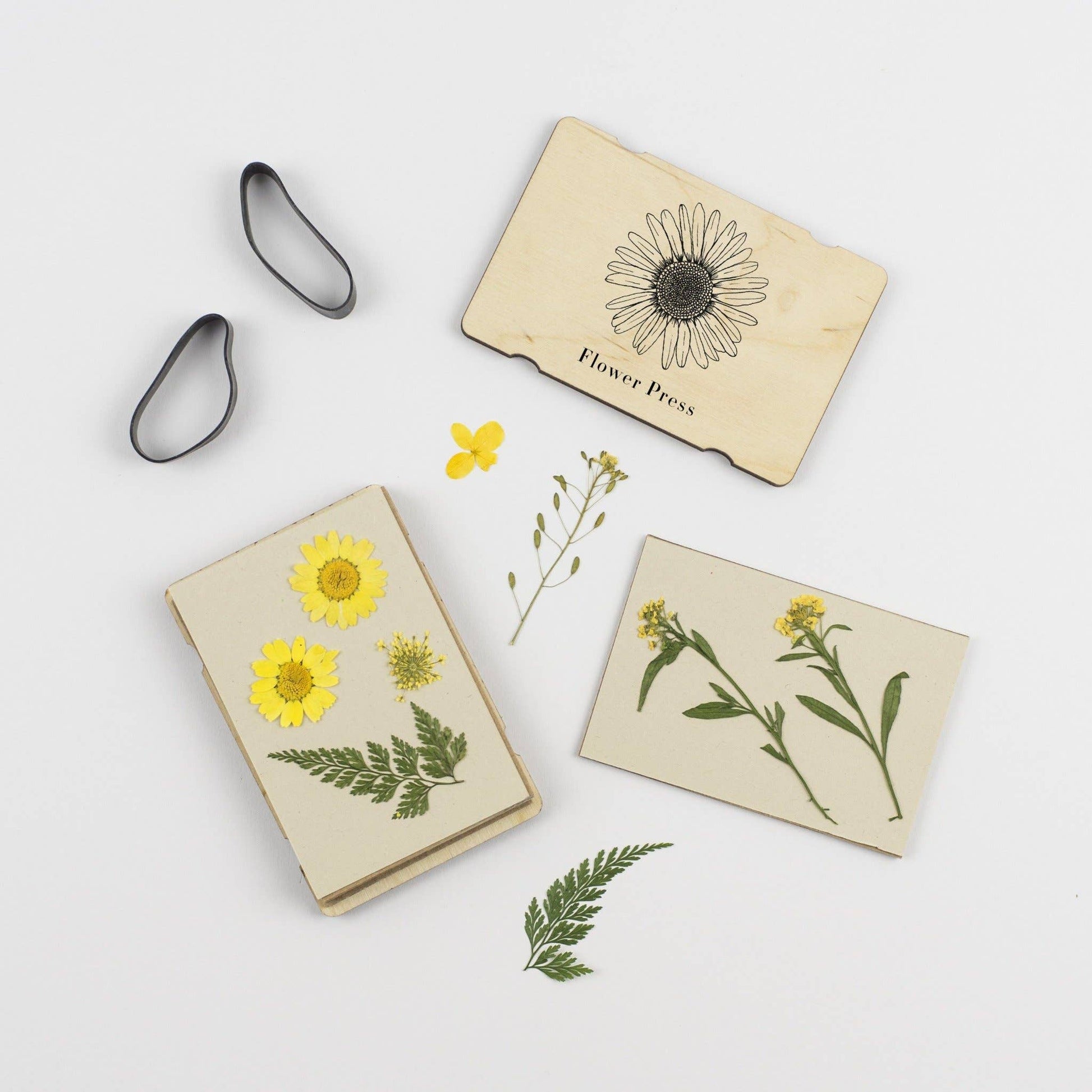 Pocket Flower Press made from sustainable maple veneered wood with corrugated card and sugar paper sheets, silicone rubber bands; pocket-sized and handmade in England.