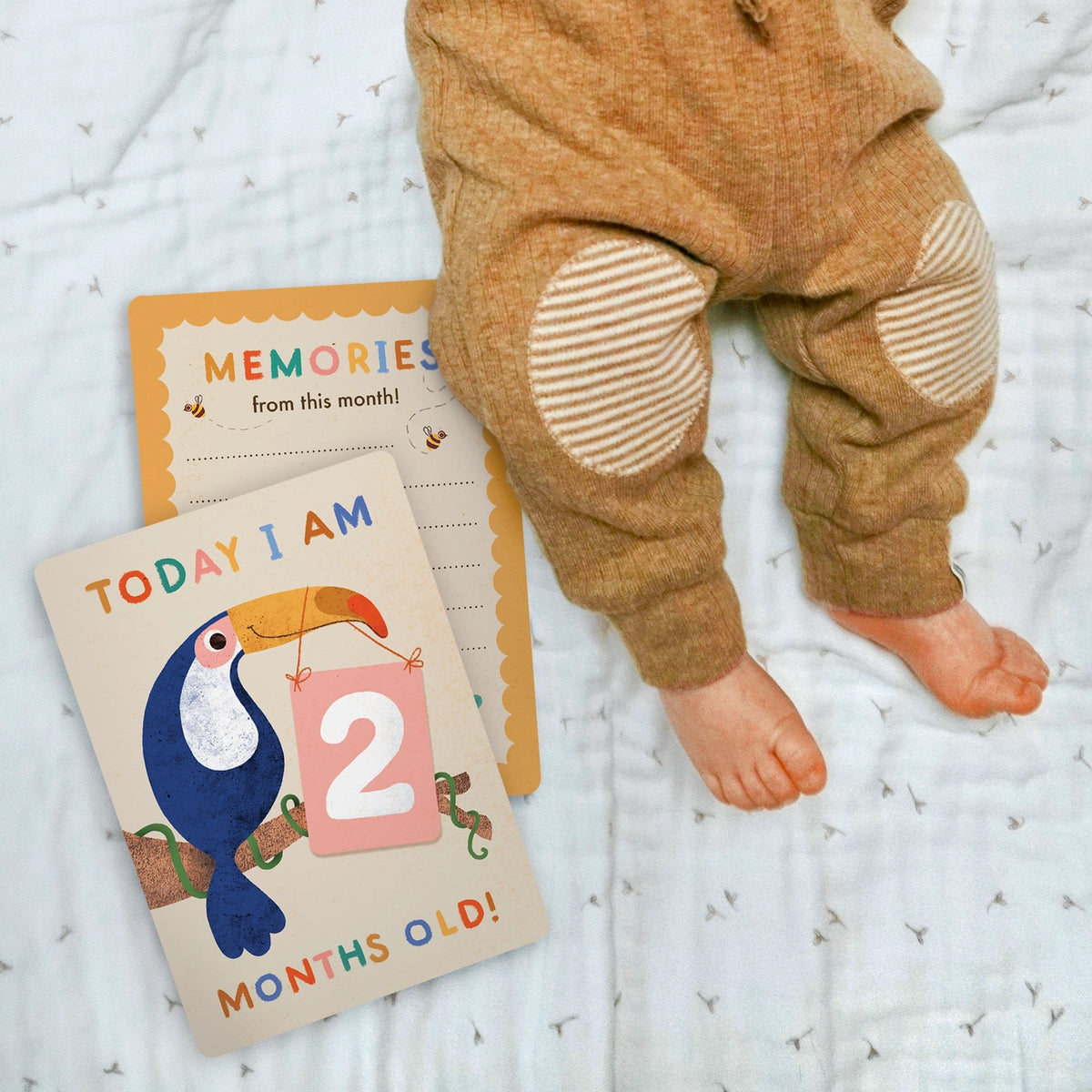 Hello I've arrived newborn card with details section