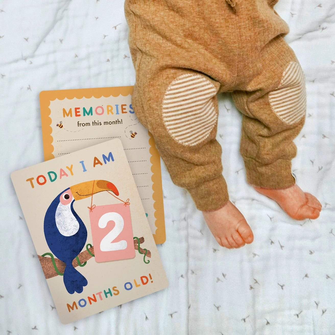Hello I've arrived newborn card with details section