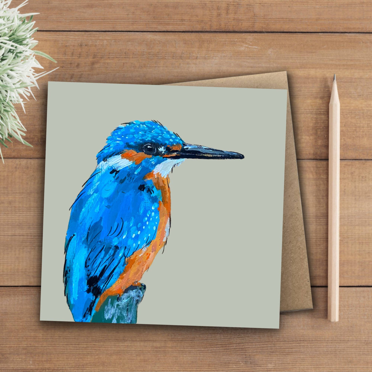 Squidley the Kingfisher illustrated eco-friendly card