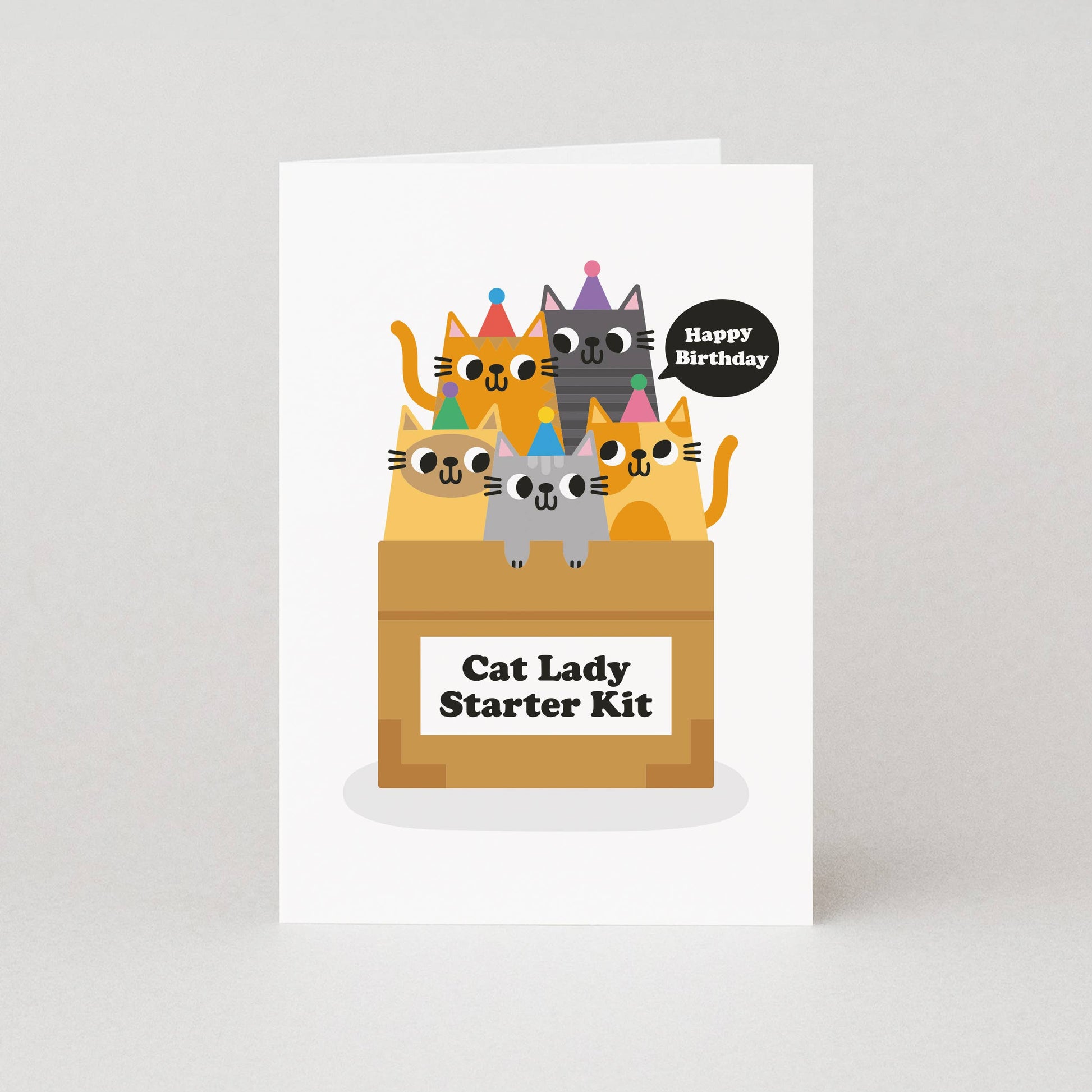 Cat Lady Starter Kit Birthday Card featuring an illustration of cats in a box wearing party hats