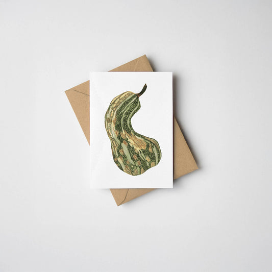 Mini Gourd Greeting Card by James Barker, featuring an illustrated winter squash on A7 premium card with kraft envelope.
